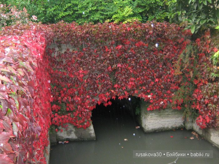 О́ксфорд — Туризм и путешествия: фотоотчеты из поездок