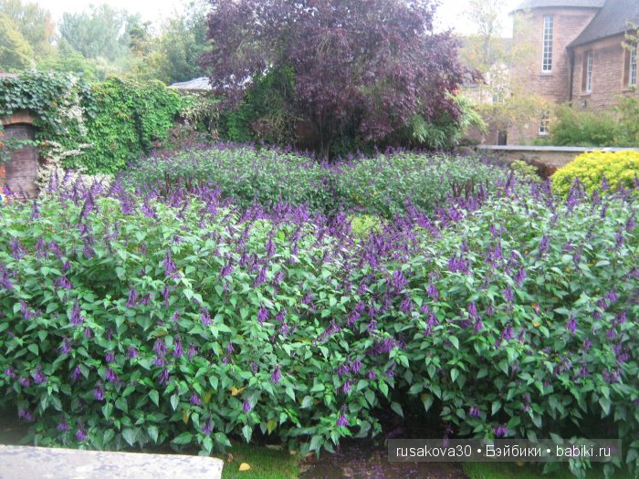 О́ксфорд — Туризм и путешествия: фотоотчеты из поездок