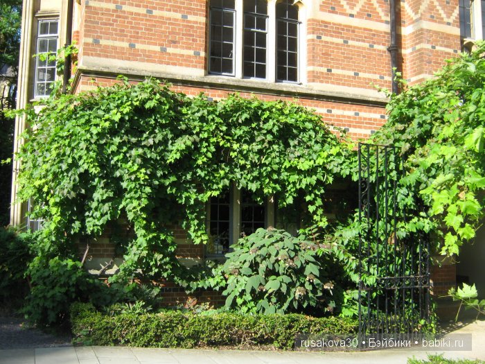 Оксфорд ,Колледж Keble — Туризм и путешествия: фотоотчеты из поездок