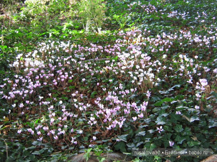 Оксфорд ,Колледж Keble — Туризм и путешествия: фотоотчеты из поездок