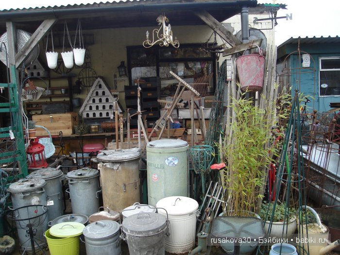 Путешествие маленького мишутки