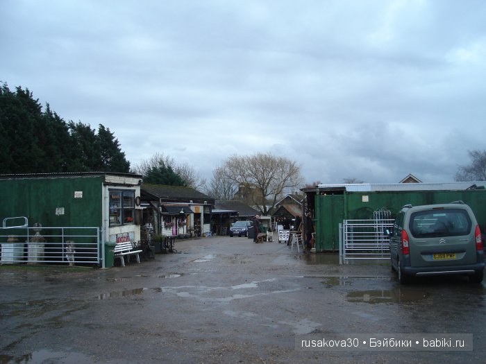 Путешествие маленького мишутки (фото 5)