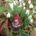 Как гномик Ditte за подснежниками ходила .