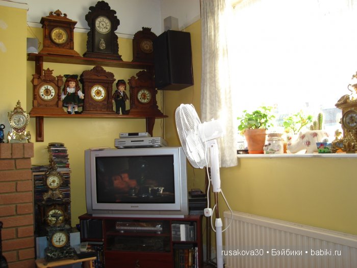 Коллекция часов — Другие хобби и увлечения: сад