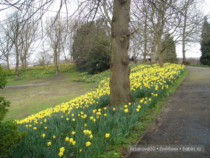 День Матери в Англии | Бэйбики День Матери в Англии — Туризм и путешествия: фотоотчеты из поездок