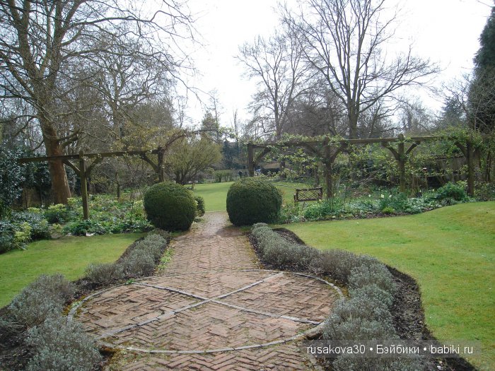 Максимка в английском саду (фото 5)