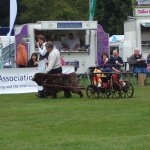 Весенняя ярмарка в графстве Норфолк .