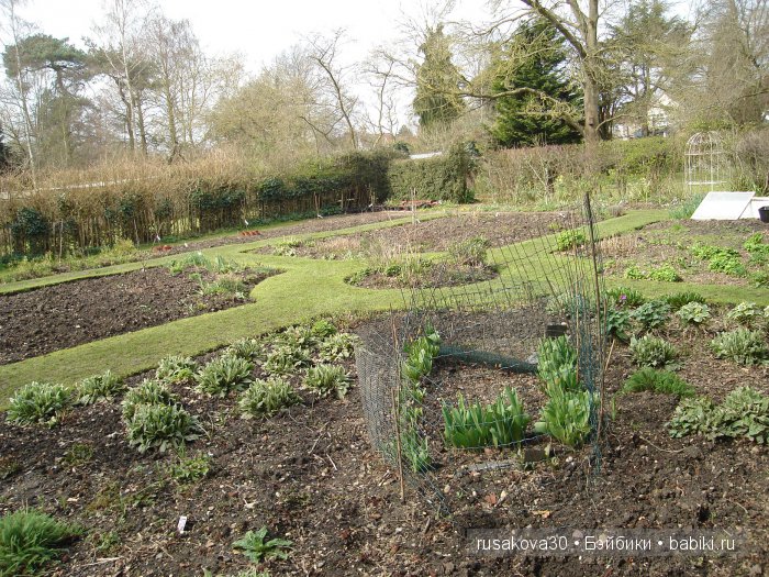 Максимка в английском саду