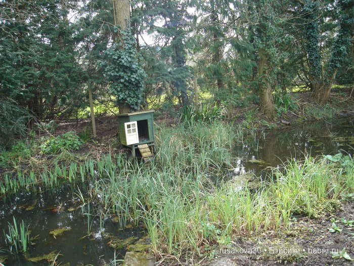 Максимка в английском саду