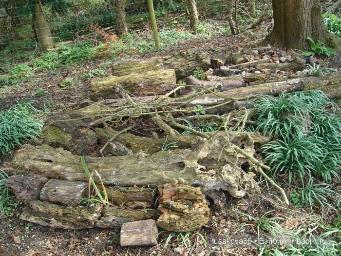 Максимка в английском саду