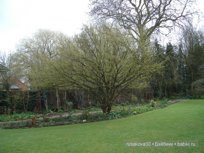 Максимка в английском саду