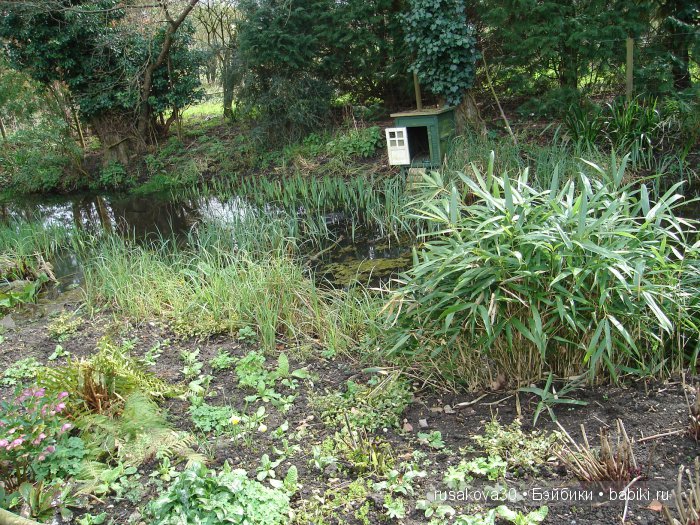 Максимка в английском саду