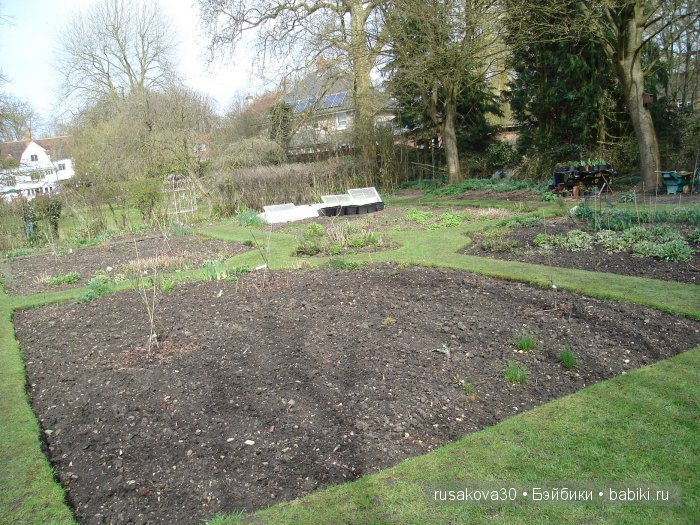 Максимка в английском саду