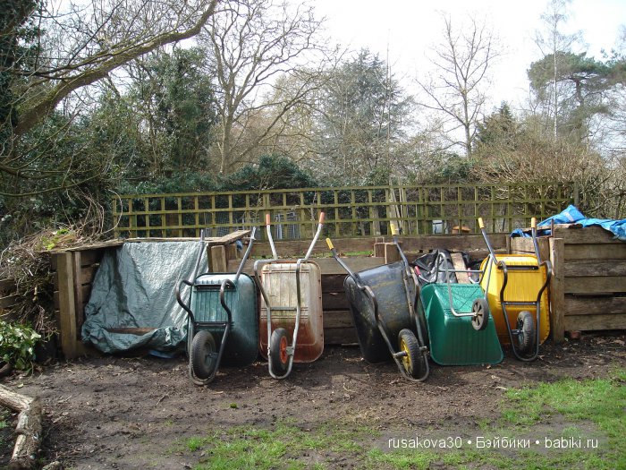 Максимка в английском саду