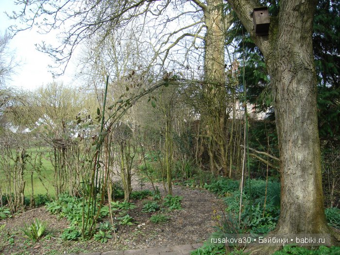 Максимка в английском саду