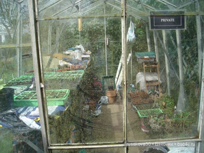 Максимка в английском саду