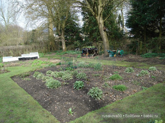 Максимка в английском саду