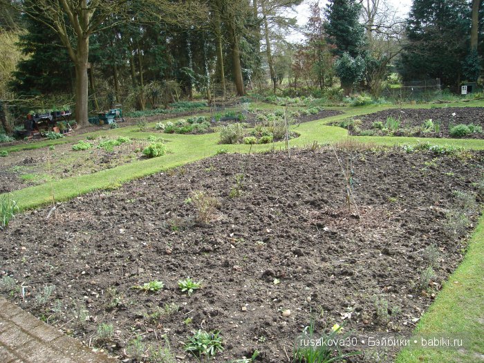 Максимка в английском саду