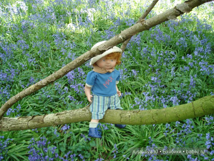 Лес голубых колокольчиков, поля наполненные солнцем и запахом меда