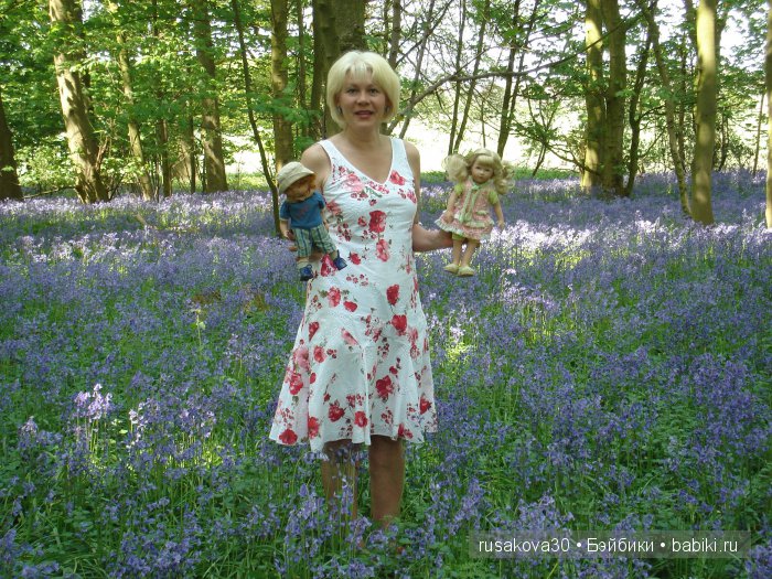 Лес голубых колокольчиков, поля наполненные солнцем и запахом меда