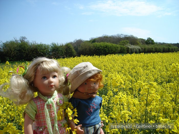 Лес голубых колокольчиков, поля наполненные солнцем и запахом меда