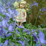 Лес голубых колокольчиков, поля наполненные солнцем и запахом меда