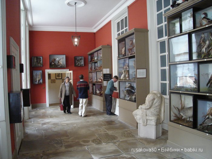 Felbrigg Hall - истинно английский стиль. Спальни и кухня
