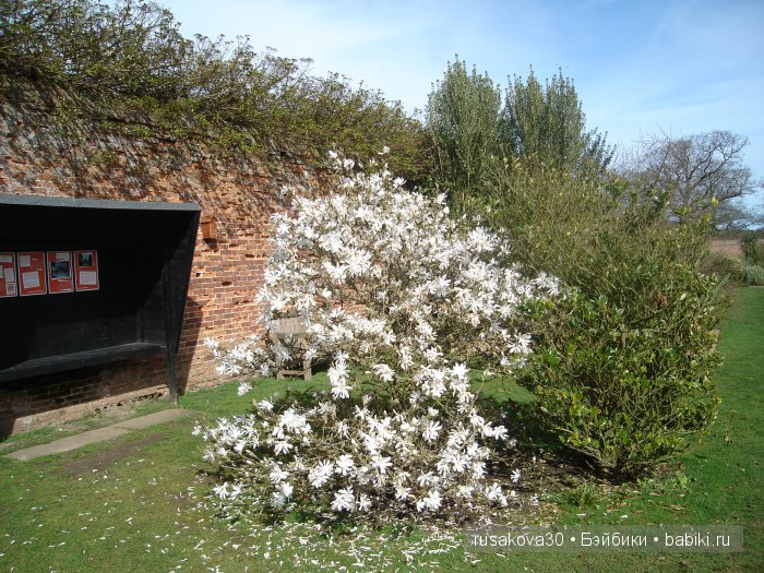 Сады и огороды Felbrigg Hall (фото 7)