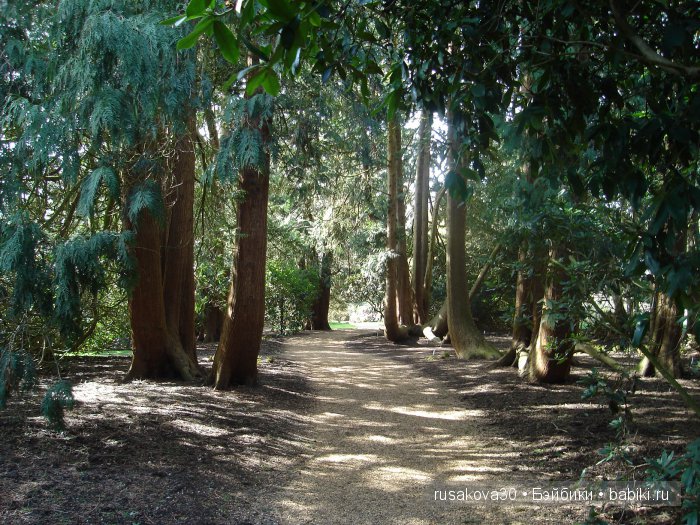 Сады и огороды Felbrigg Hall (фото 5)