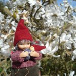 Сады и огороды Felbrigg Hall