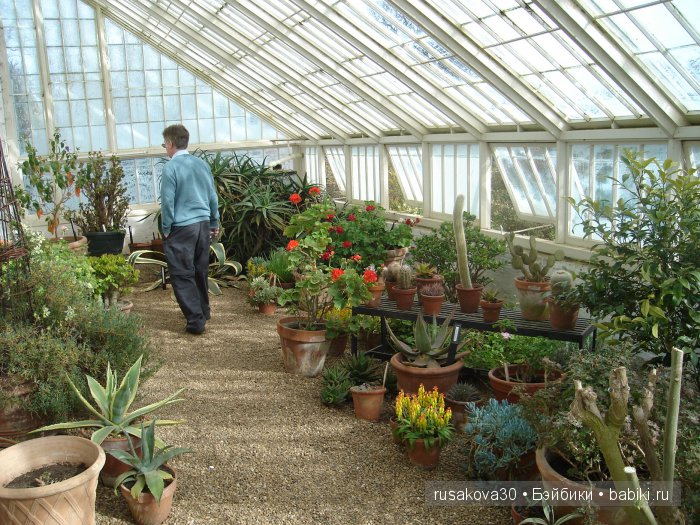 Сады и огороды Felbrigg Hall