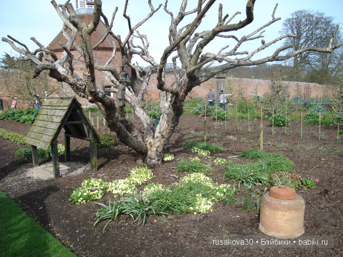 Сады и огороды Felbrigg Hall