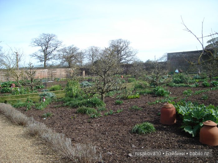 Сады и огороды Felbrigg Hall