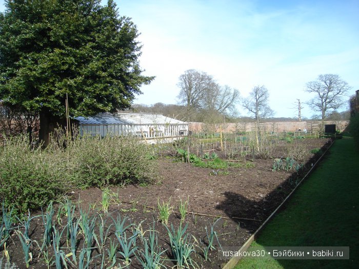 Сады и огороды Felbrigg Hall