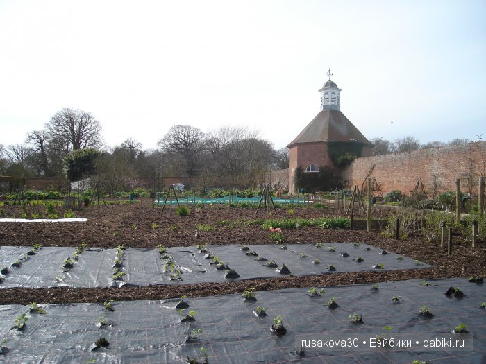 Сады и огороды Felbrigg Hall