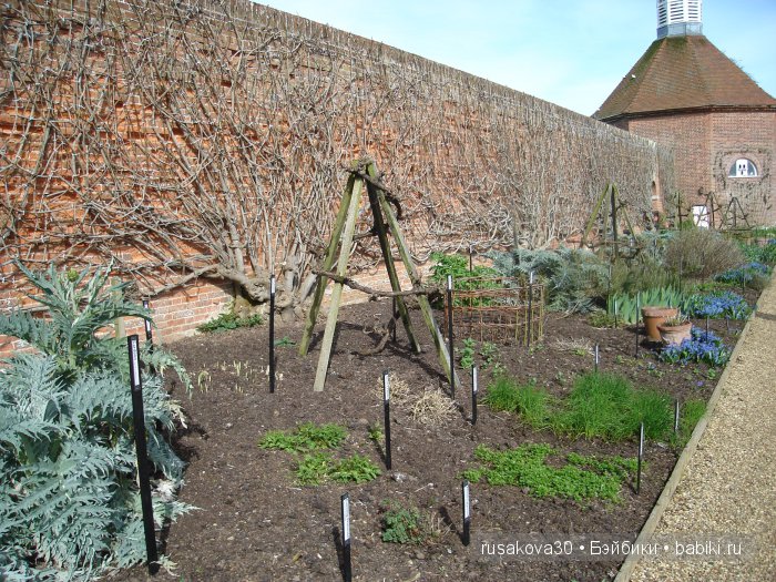 Сады и огороды Felbrigg Hall