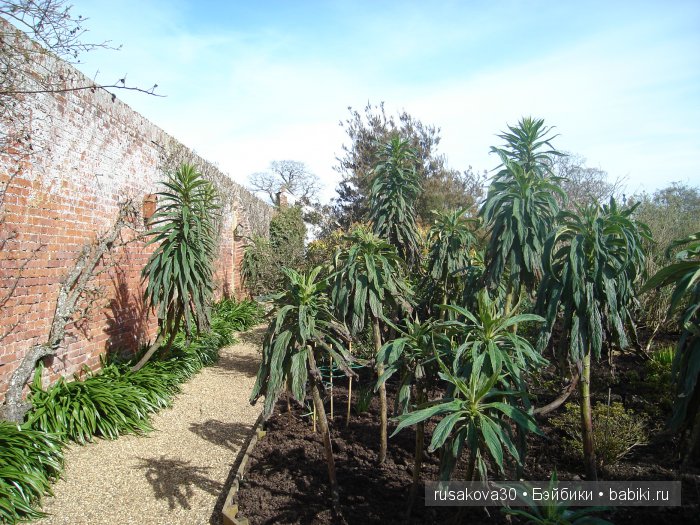 Сады и огороды Felbrigg Hall