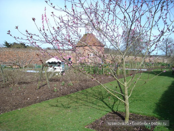 Сады и огороды Felbrigg Hall