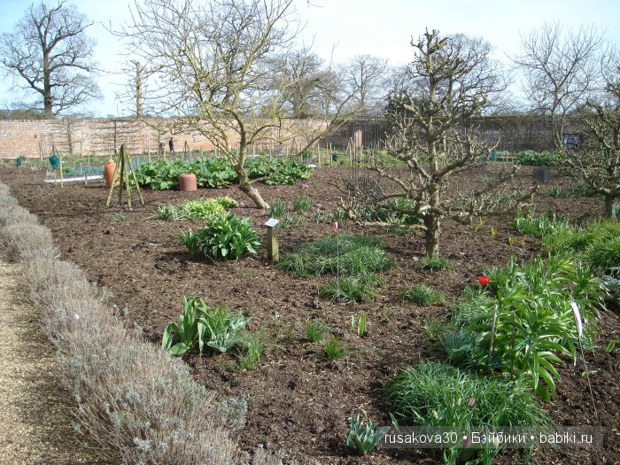 Сады и огороды Felbrigg Hall