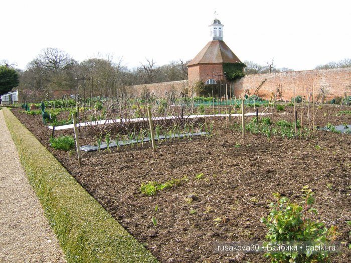 Сады и огороды Felbrigg Hall