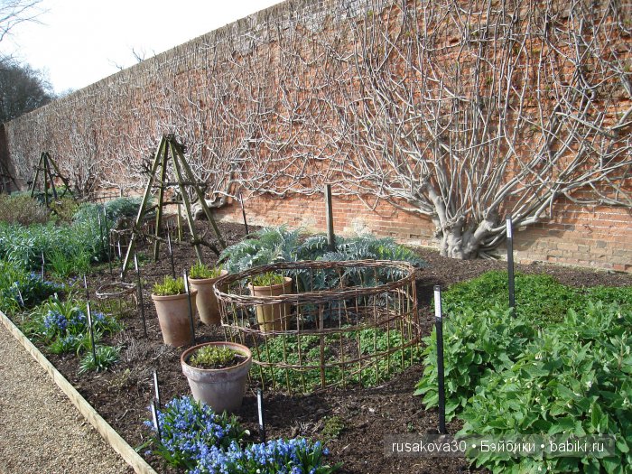 Сады и огороды Felbrigg Hall