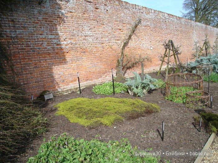 Сады и огороды Felbrigg Hall