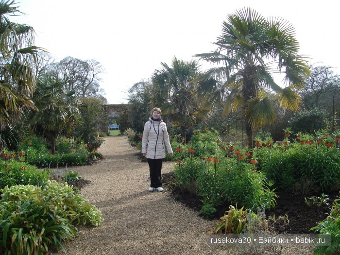Сады и огороды Felbrigg Hall