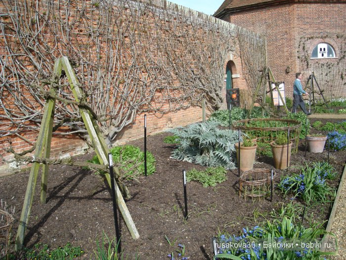 Сады и огороды Felbrigg Hall