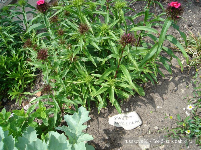 Продолжаем путешествие по Bourne Mill