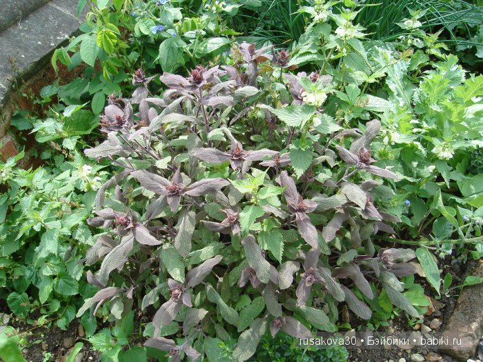 Продолжаем путешествие по Bourne Mill