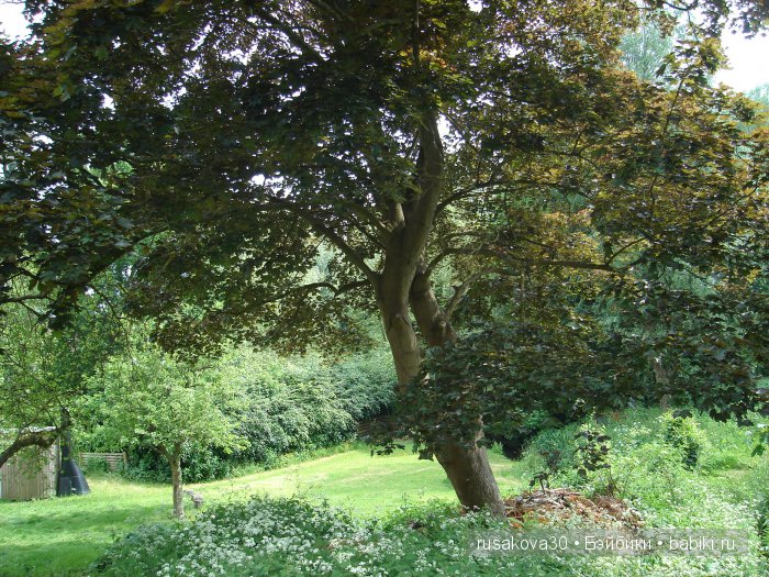 Продолжаем путешествие по Bourne Mill