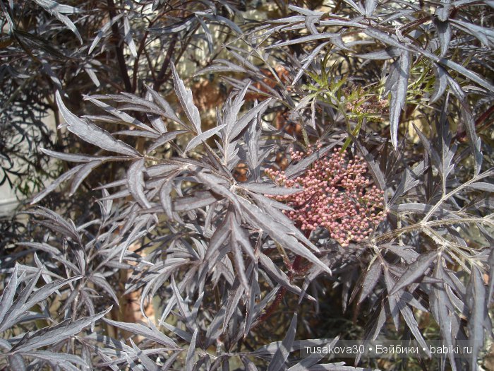 Продолжаем путешествие по Bourne Mill
