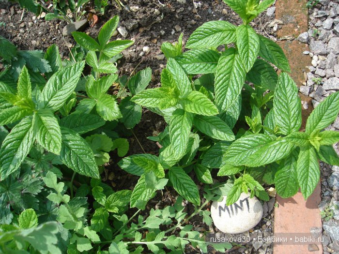 Продолжаем путешествие по Bourne Mill