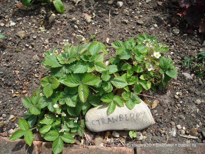 Продолжаем путешествие по Bourne Mill